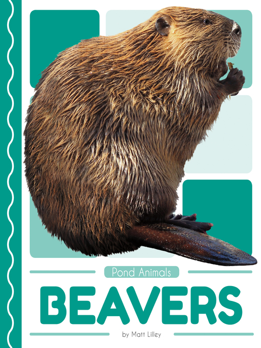 Title details for Beavers by Matt Lilley - Available